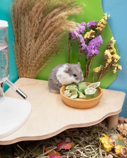 Niteangel Hamster Snack & Treats Toy - Small Animal Natural Treat for Dwarf Syrian Robo Hamsters