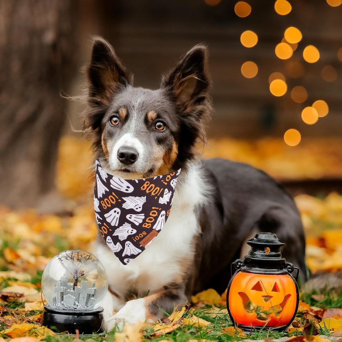 PTDECOR Halloween Dog Bandana, Reversible Holiday Pet Scarf, Multi Size, Triangle Puppy Halloween
