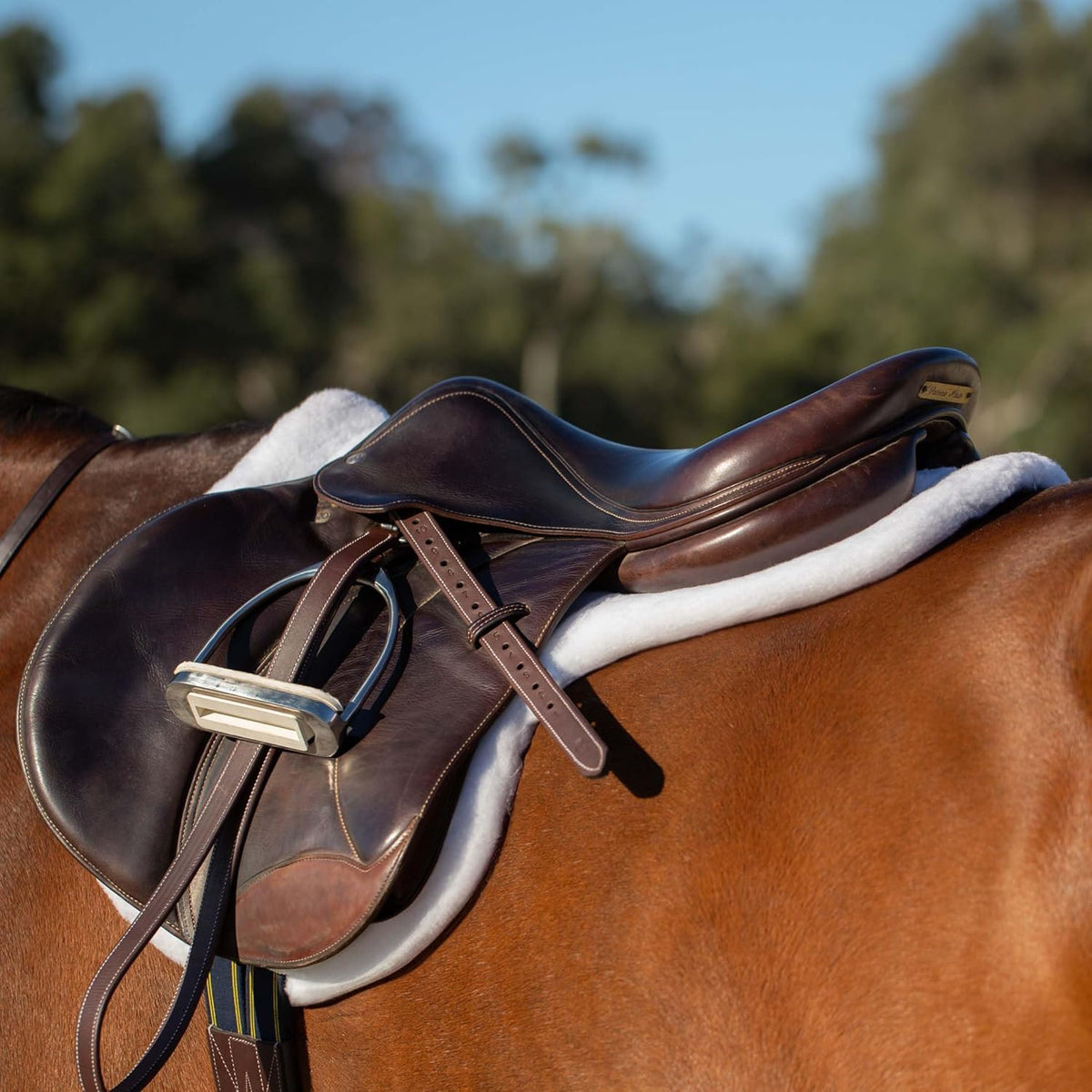 Equinavia Eidsvoll Close Contact English Saddle Pad | Horse Saddle Pad with Shock Absorbing Fleece