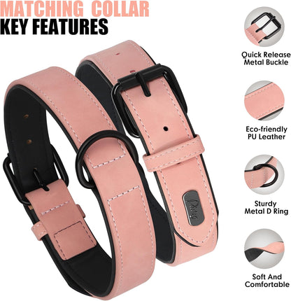 Didog Soft Padded Leather Dog Collar and Leash Set,Pink Breathable Pet Collars with 4FT PU Leather