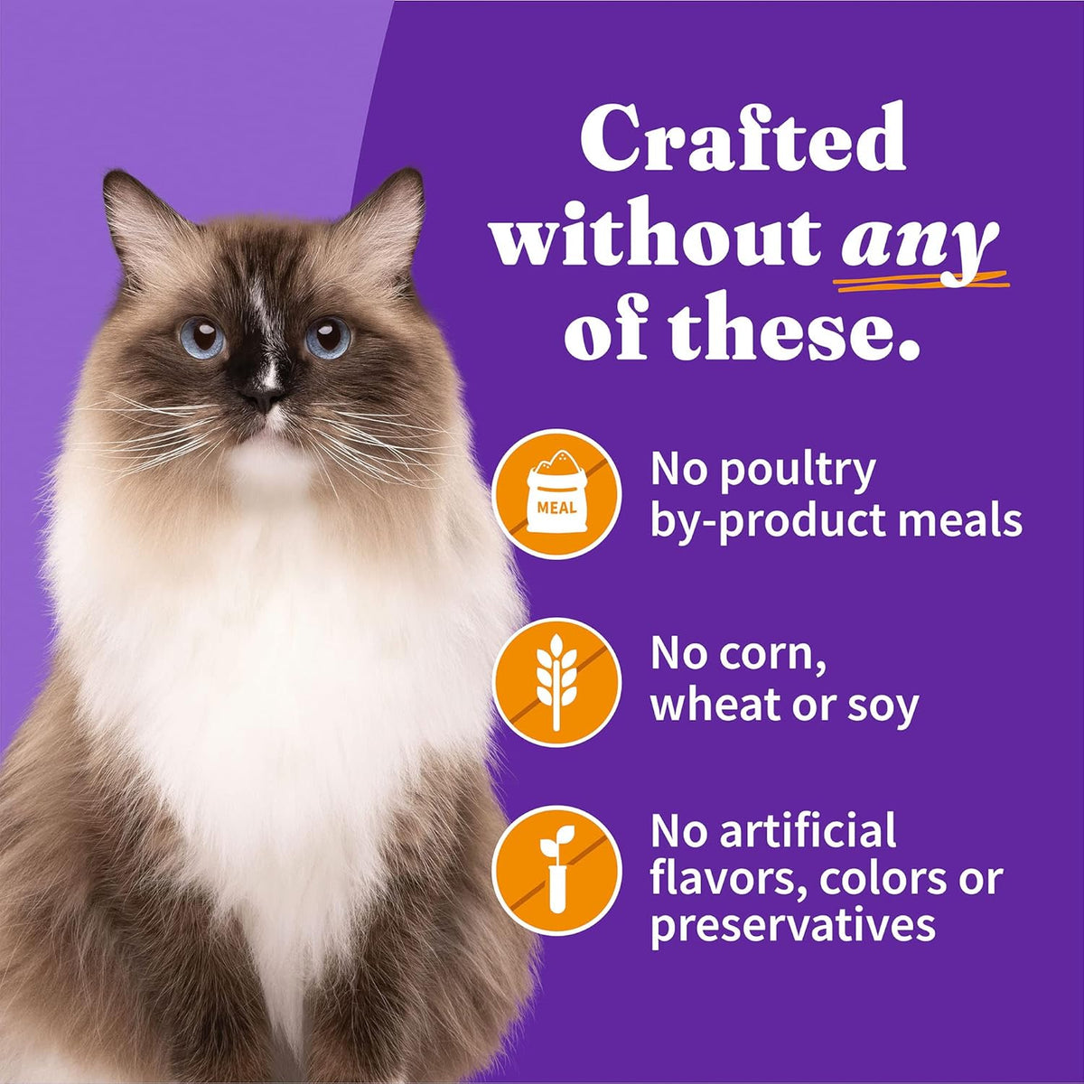 Halo Wet Cat Food Whole Chicken Recipe, Grain Free Wet Cat Pate, Canned Cat Food for Extra