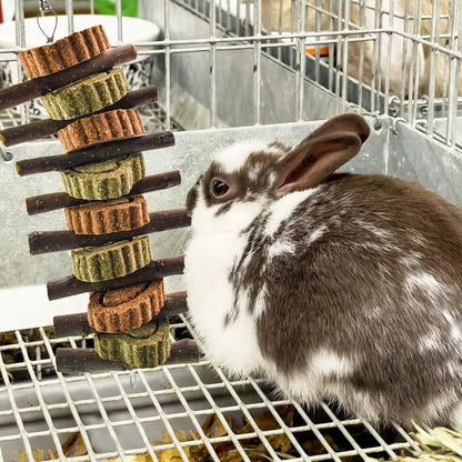 Rabbit Chew Toy,Bunny Chew Toys for Teeth Grinding,Natural Apple Branch Teething Sticks with Hay