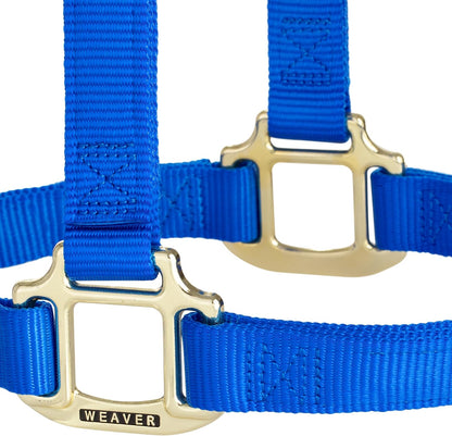 Weaver Equine Nylon Horse Halter, Triple-Ply Cheek Design, Original Non Adjustable Halters for