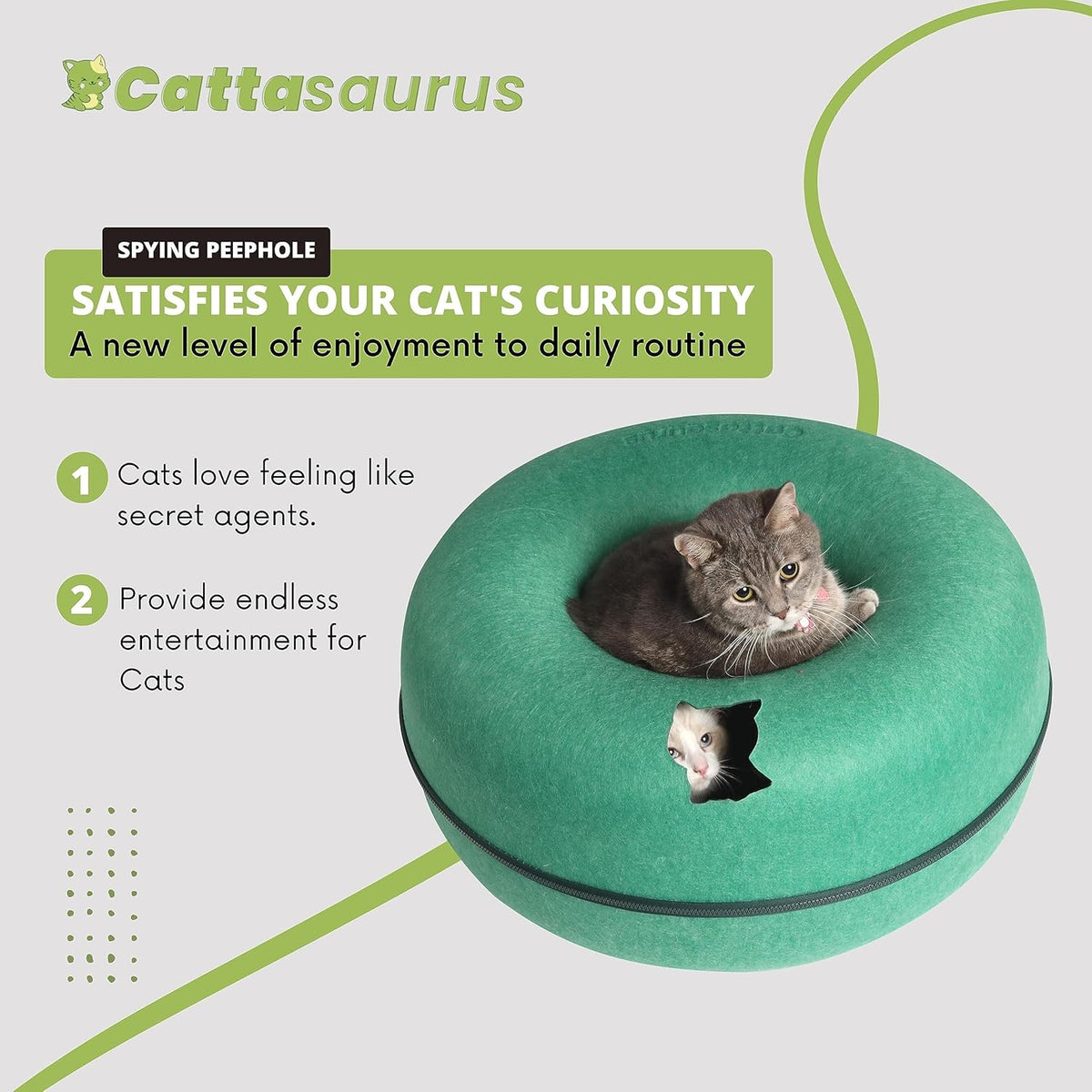 CATTASAURUS Peekaboo Cat Cave for Multiple & Large Cats Up to 30-45 Lbs, Scratch Detachable &