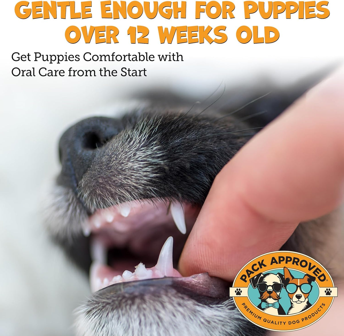 Dental Wipes for Dogs - Dog Teeth Wipes for Oral Care, Tartar and Plaque Remover - Cleans and