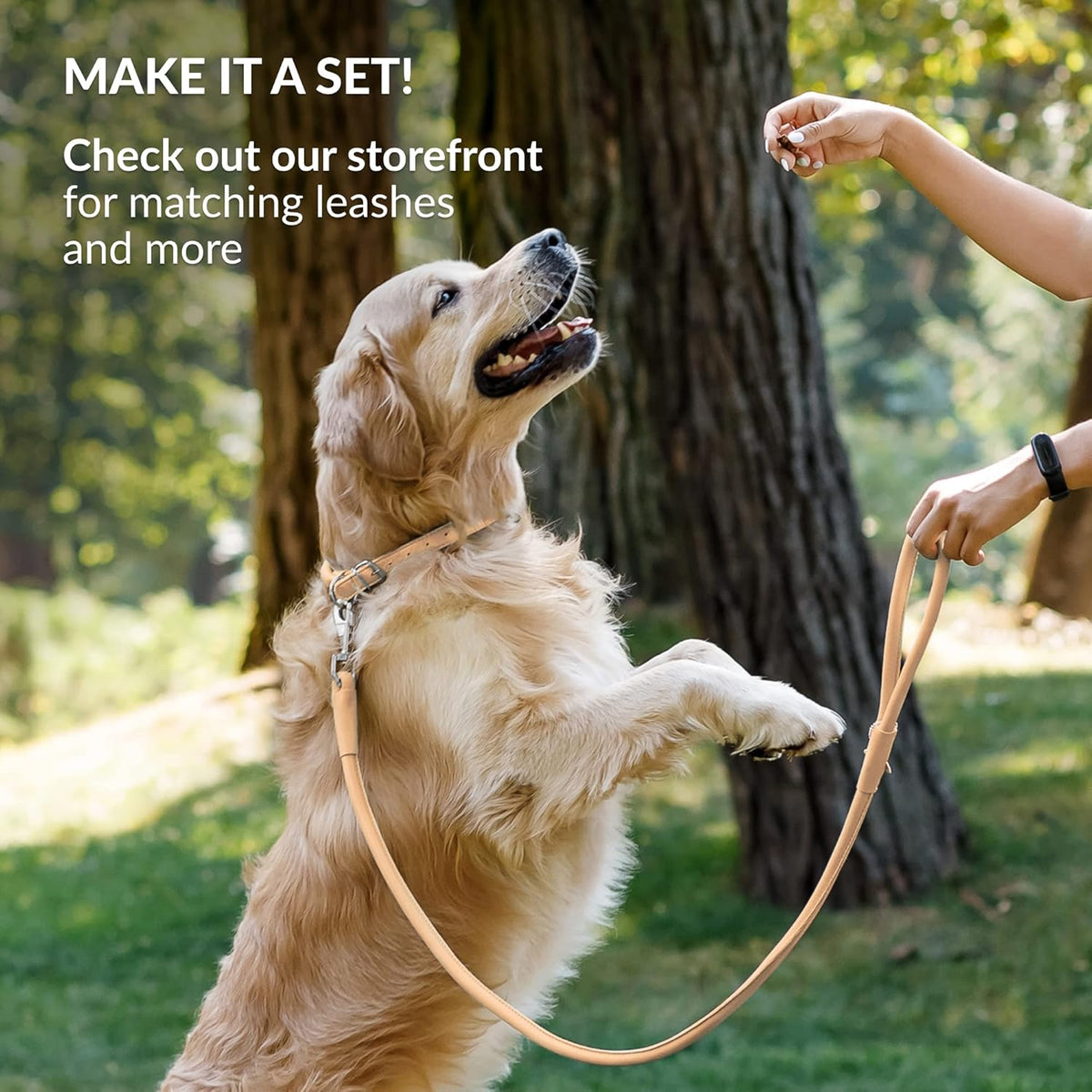 CollarDirect Rolled Leather Dog Collar, Soft Padded Round Puppy Collar, Handmade Genuine Leather