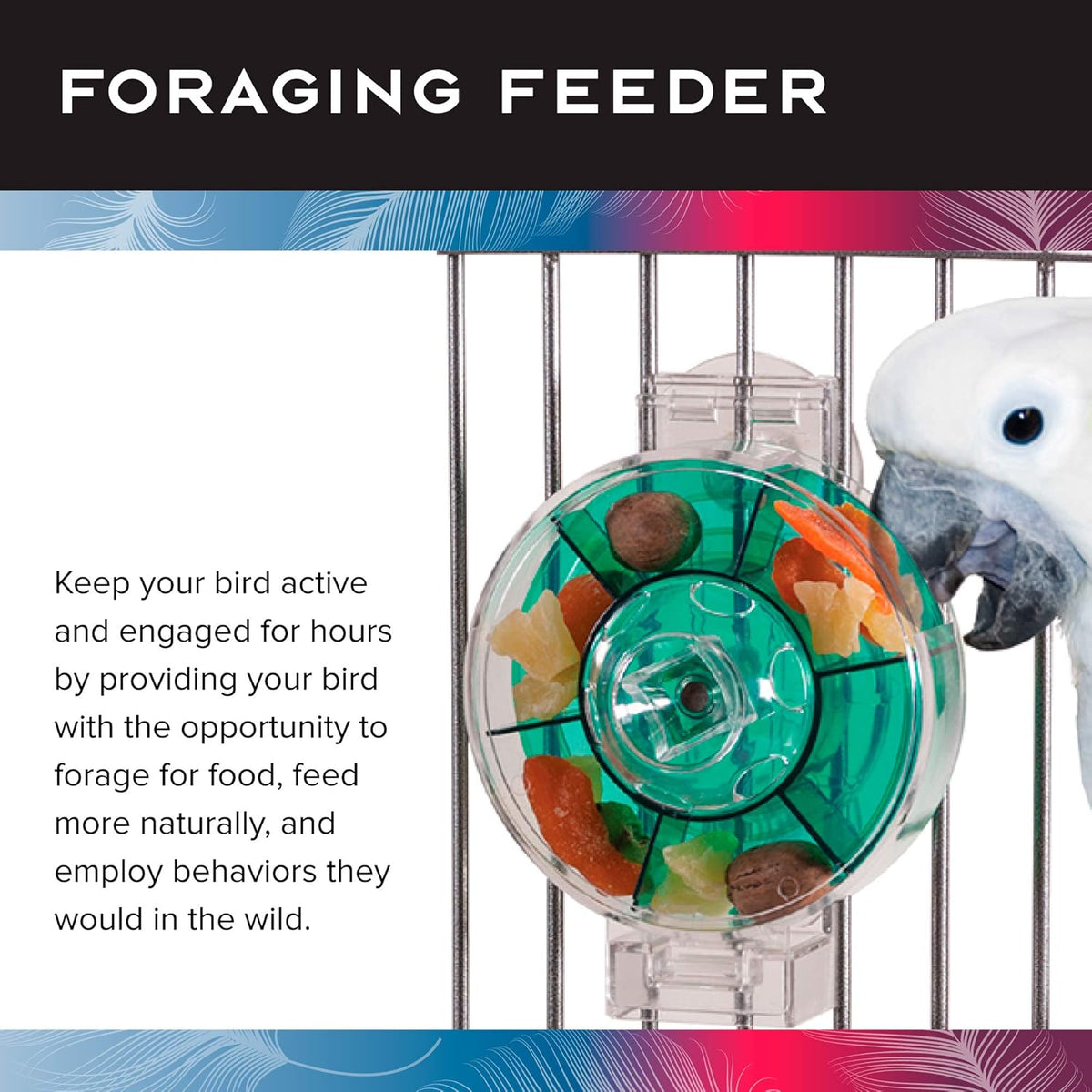Featherland Paradise - Creative Foraging Systems Bird Cage Feeder (Gen II) - Extra Large