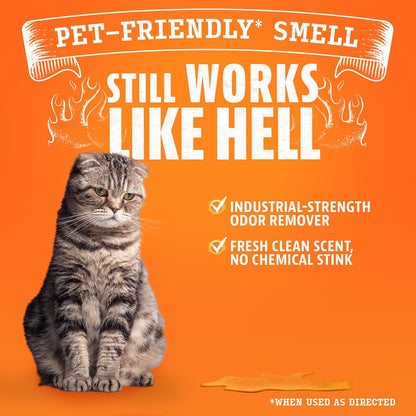 Angry Orange Pet Odor Eliminator Concentrate for Cat Urine and Smells - Fresh Scent - 8 oz (Makes