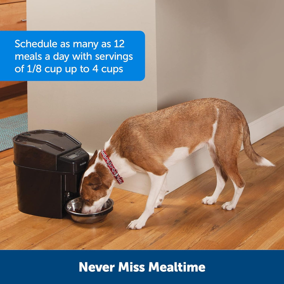 PetSafe Automatic Cat Feeder - Healthy Pet Simply Feed - Automatic Pet Feeder for Cats & Dogs