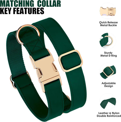 PET ARTIST Soft PU Leather Dog Collar, Bright Color & Durable Dog Collar Leather with Rose Gold