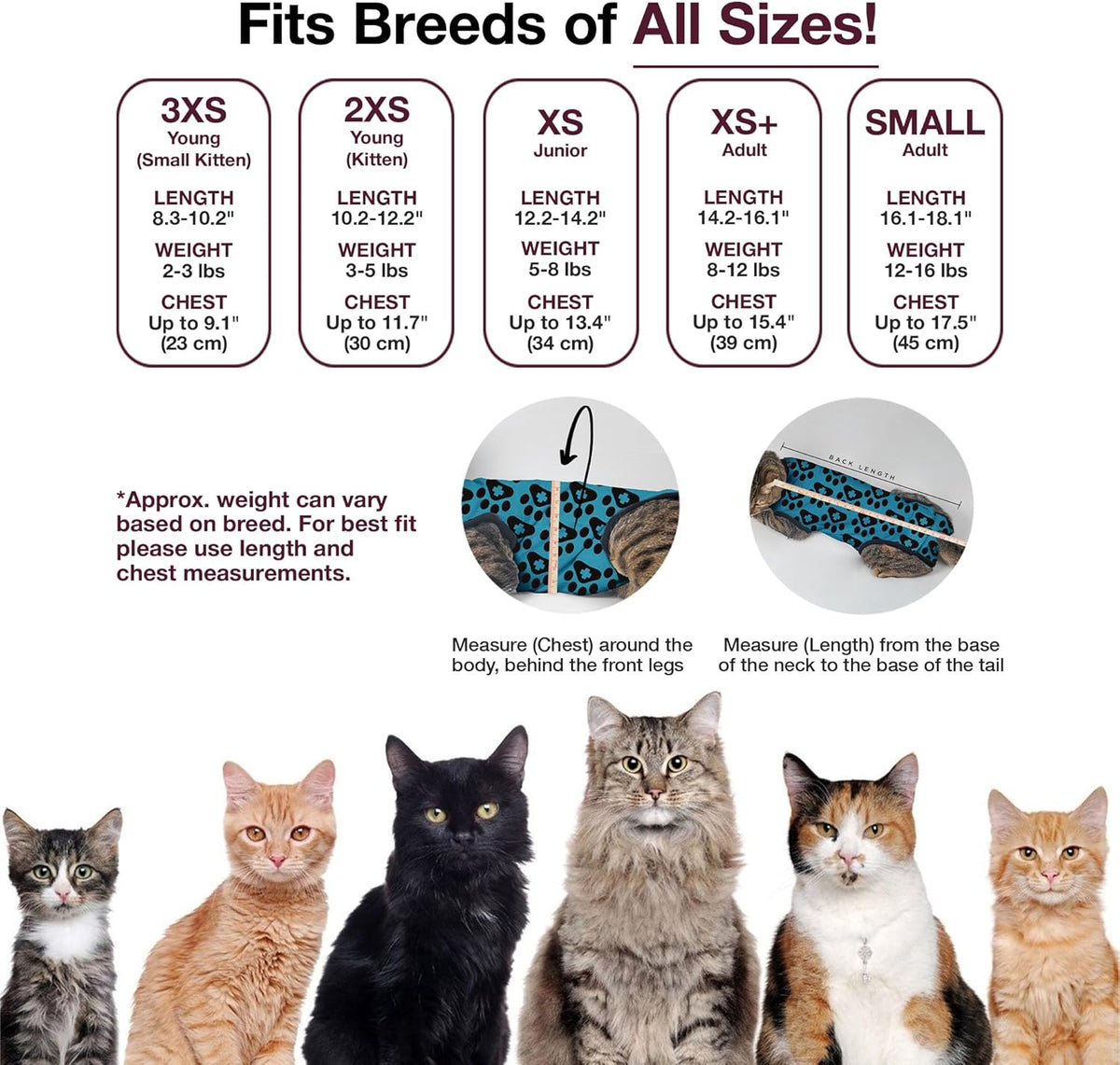 Bellyguard Cat Recovery Suit Female and Male, Comfy Onesie After Surgery, Kitten Clothes for