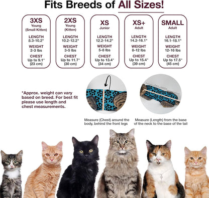 Bellyguard Cat Recovery Suit Female and Male, Comfy Onesie After Surgery, Kitten Clothes for