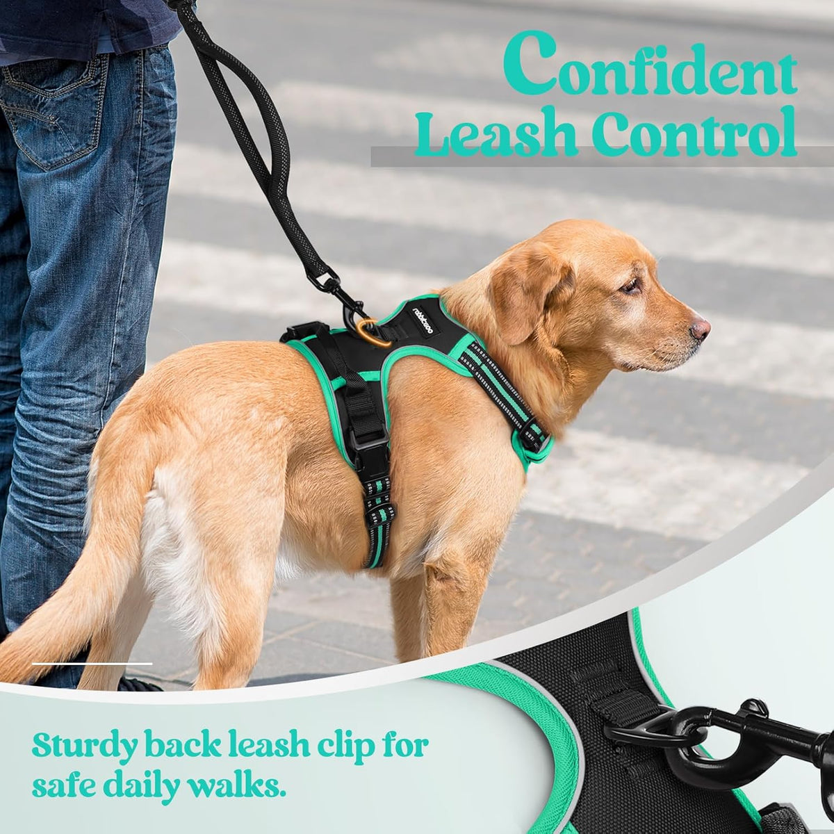 rabbitgoo Dog Harness No Pull with 2 Leash Clips, Adjustable Soft Padded, Reflective Oxford No