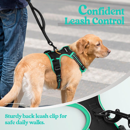 rabbitgoo Dog Harness No Pull with 2 Leash Clips, Adjustable Soft Padded, Reflective Oxford No
