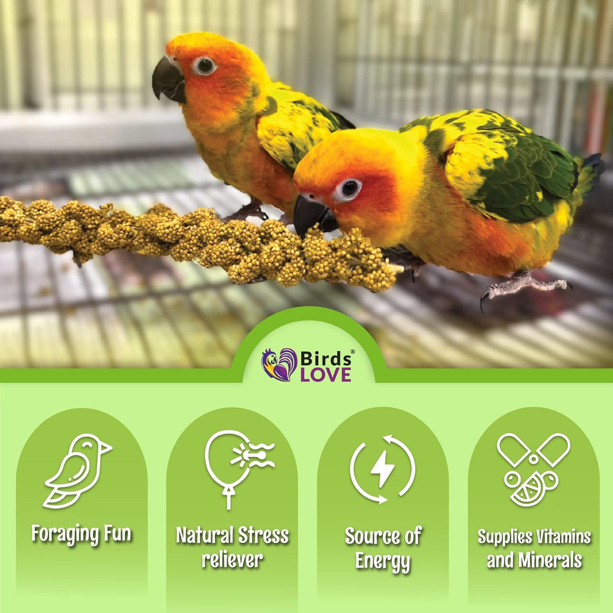Birds LOVE French Kissed Spray Millet for Birds - Parakeets, Cockatiels, Lovebirds, Finches