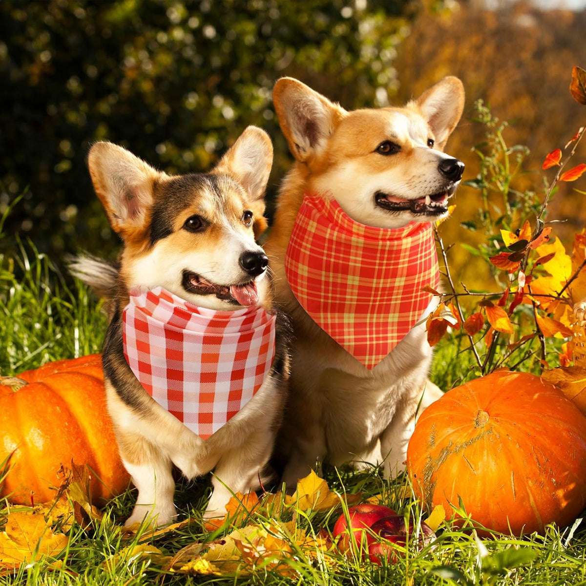Abbylike 100 Pcs Fall Plaid Dog Bandanas Bulk Thanksgiving Bandanas for Dogs Triangle Kerchief Bib