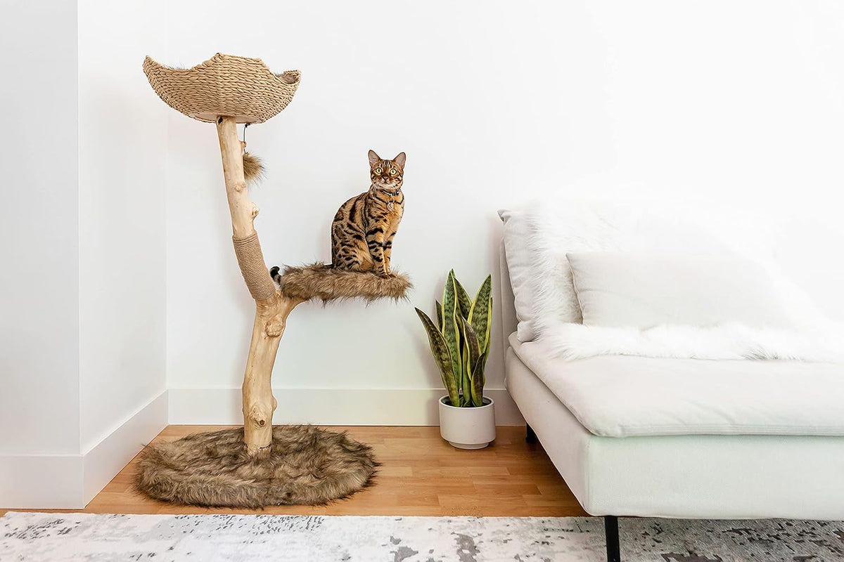 Wooden Cat Tree Tower, Modern Single Branch Cat Condo, Wood Cat Tree, Cat Climbing, Furniture for