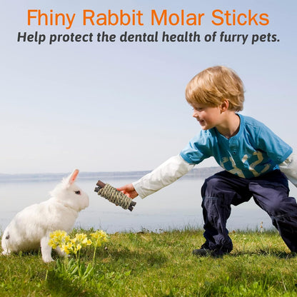 Fhiny 12 PCS Guinea Pigs Chew Toys, Natural Apple Branch Seagrass Molar Sticks for Teeth Bunny Chew