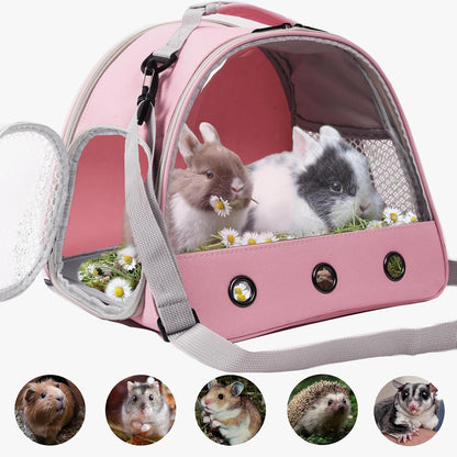Bearded Dragon Carrier, Lizards & Small Animal Travel Carrier for Sugar Glider, Hedgehog, Rat