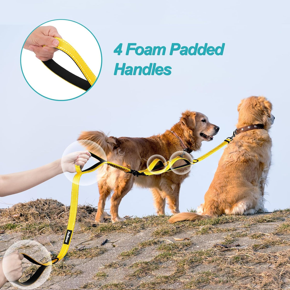 PetBonus Double Dog Leash, No Tangle Dual Leash, Reflective Walking Training Lead, 4 Comfortable