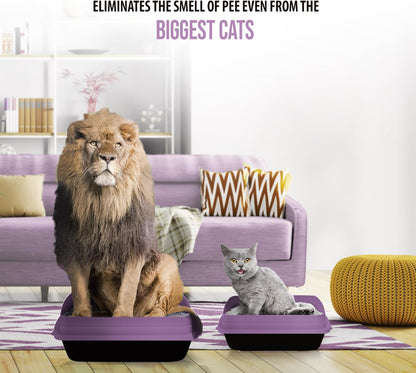 Skoon All Natural Cat Litter (1 Bag) - Lavender - Lightweight, Low Tracking, Non-Clumping Diatom