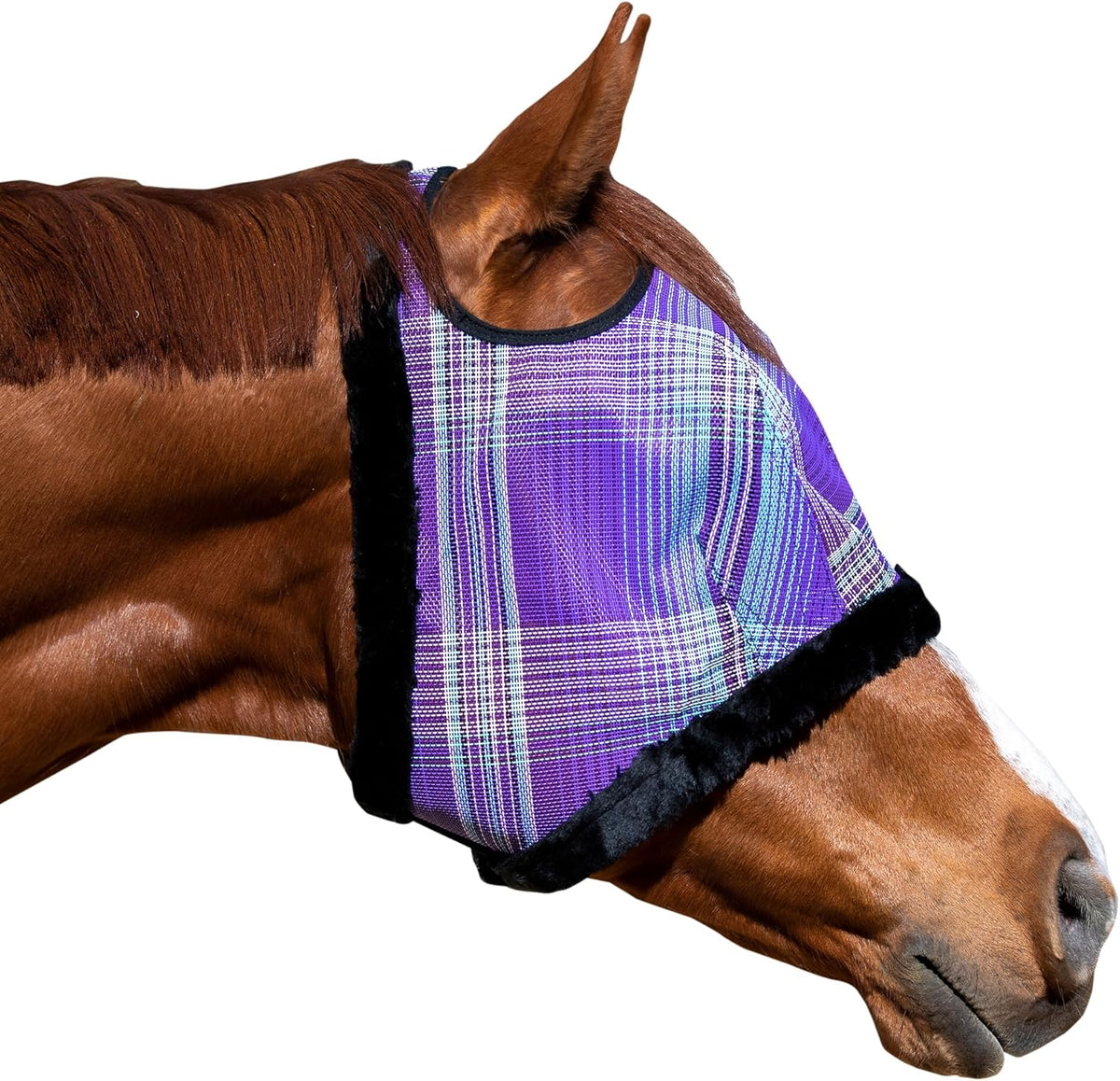 Kensington Fly Mask with Fleece Trim for Horses — Protects Face and Eyes from Flies and Sun Rays