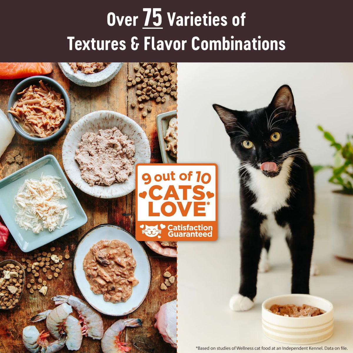Wellness CORE Tiny Tasters Pate Adult Wet Cat Food, Natural, Protein-Rich, Grain Free, 1.75 Ounce