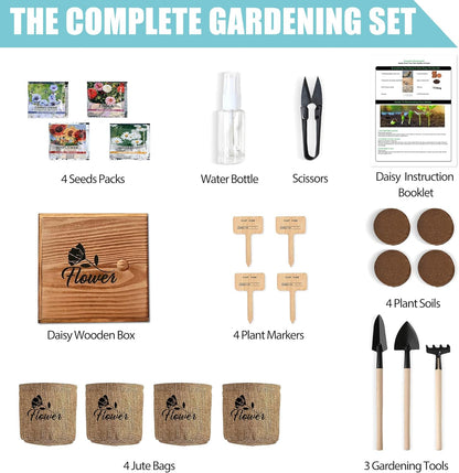 Indoor Daisy Garden Starter Kit, 4 Flower Seeds Growing into Shasta Daisy, Cornflower, Sunflower