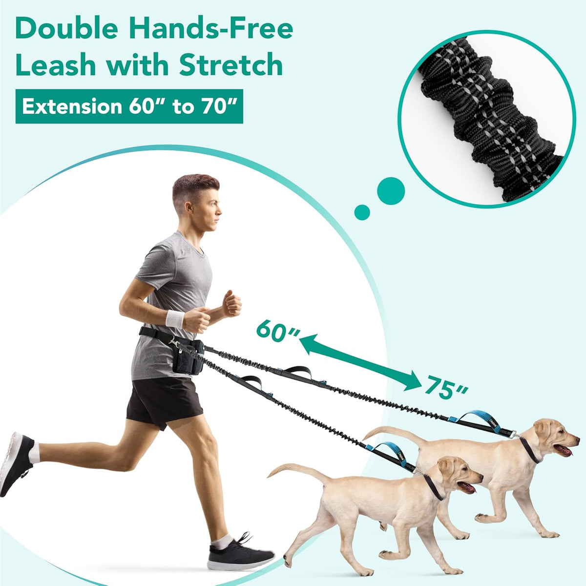 PetAmi Premium Hands Free Dog Leash for 2 Dogs, Adjustable Waist Belt Leash for Dog Walking, Fanny