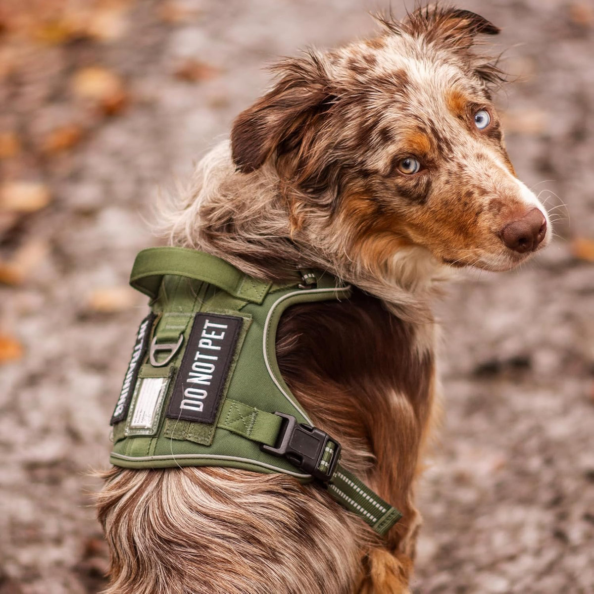 rabbitgoo Dog Harness for Large Dogs No Pull, Tactical Service Pet Vest with Molle and Control