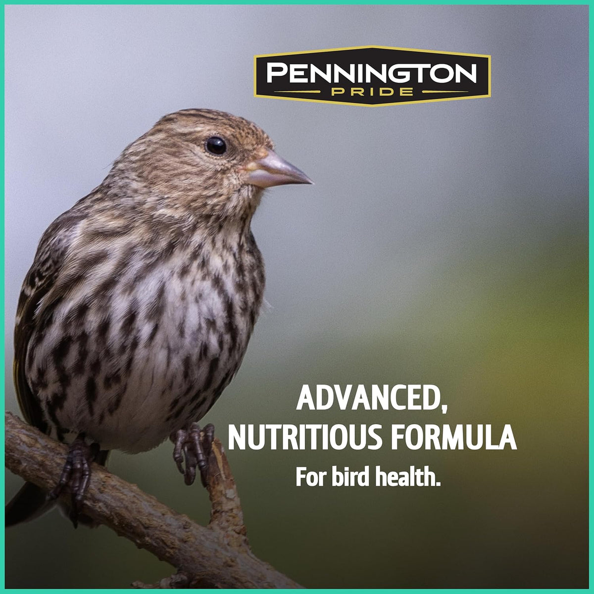 Pennington Pride Wild Finch Blend, Wild Bird Seed for Outside Feeders, Special Mix for a Variety of