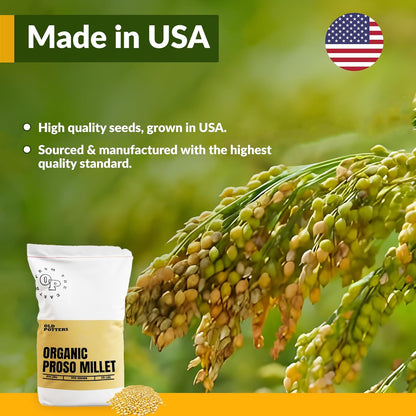 Wildlife Organic White Millet for Bird Feeding and Wildlife Bird attracting, Non-GMO and USA Grown
