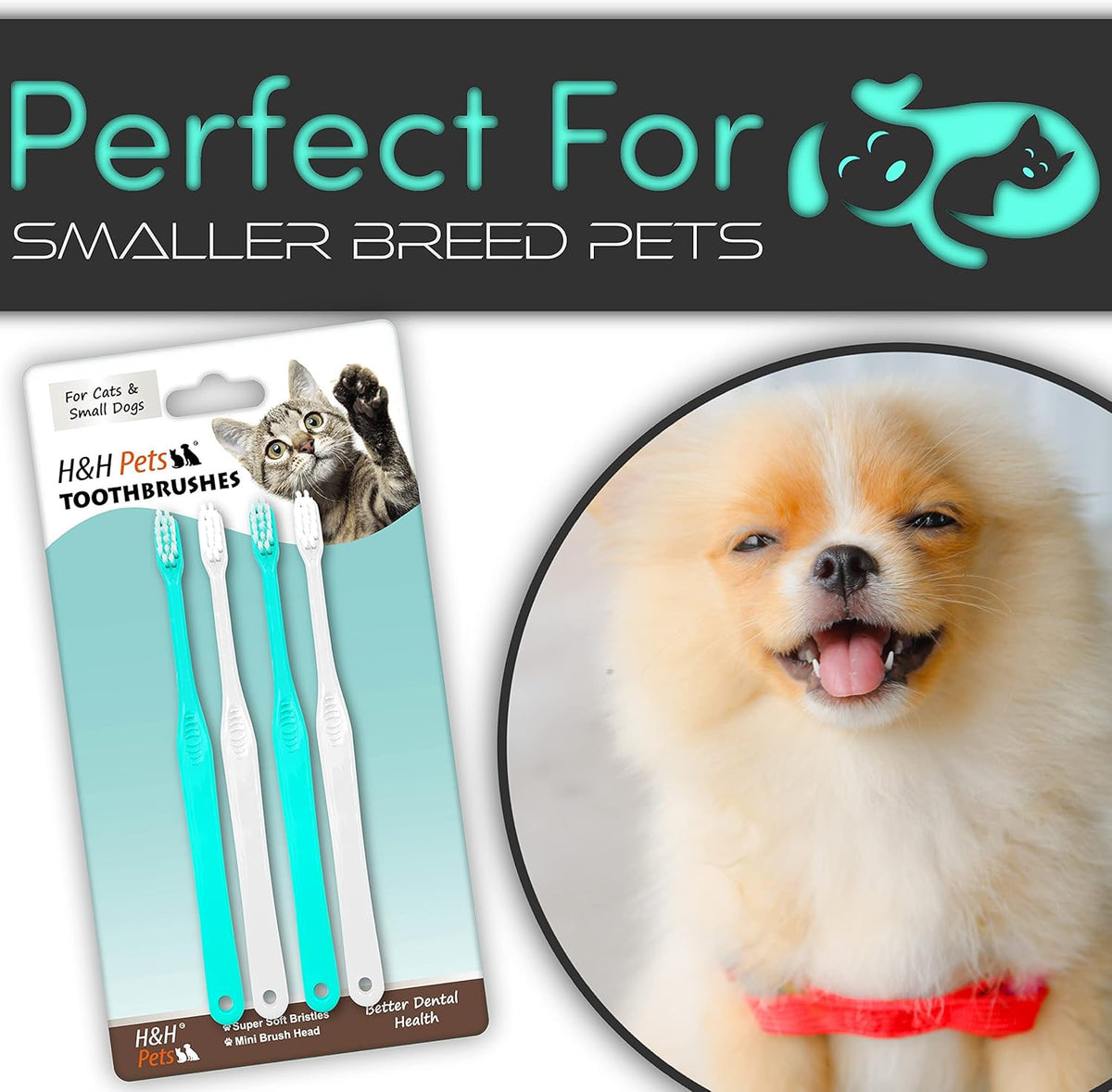 H&H Pets Toothbrush for Small Dogs & Cats - Soft and Extra Small Toothbrush Designed for Cats