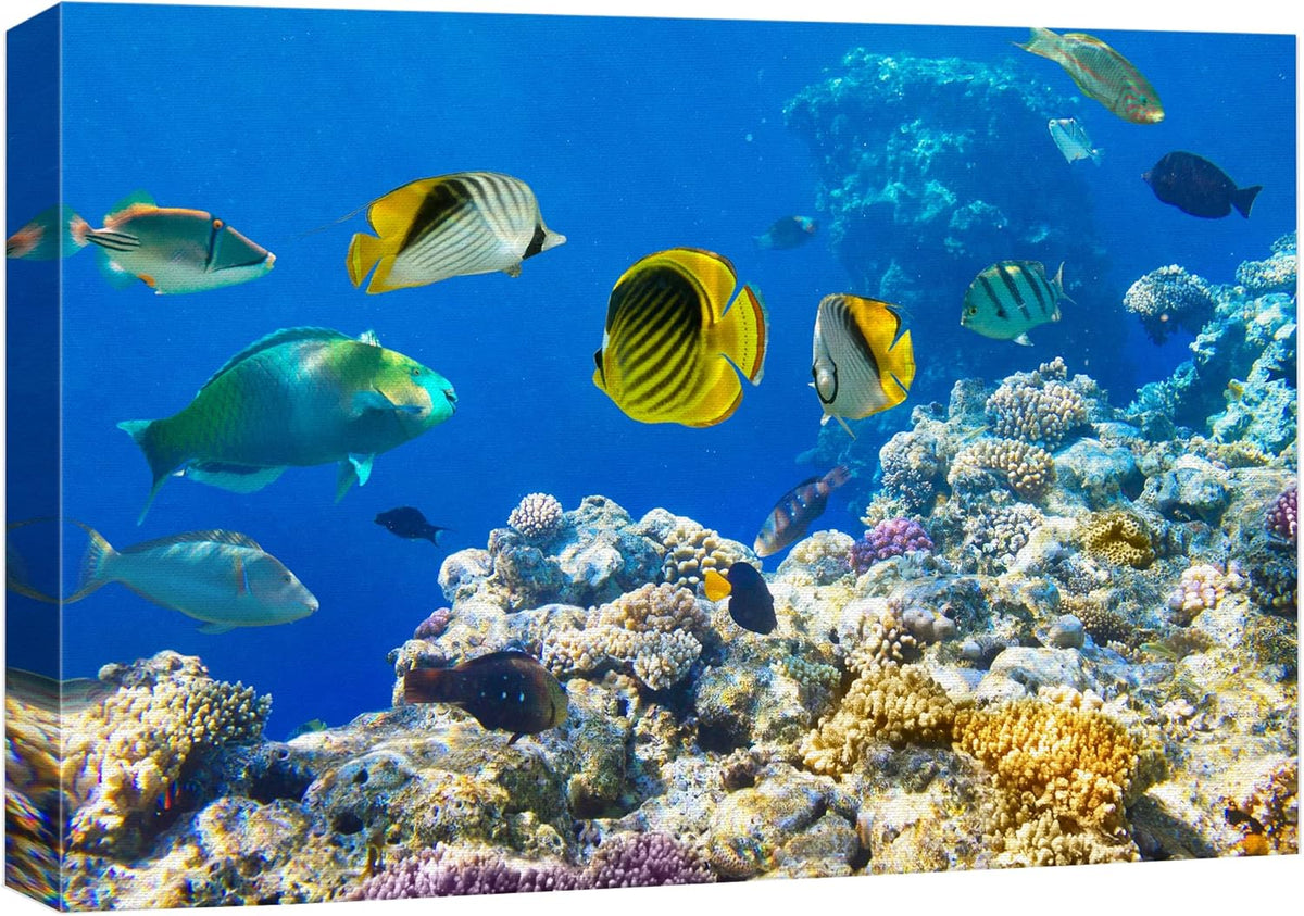 wall26 Canvas Print Wall Art Tropical Island Ocean Sea Fish Coral Reef Nature Animals Photography