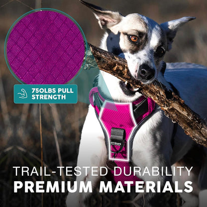 Embark Adventure Dog Harness, Reflective Trim No Pull Dog Harness for Large Dogs - Military Grade