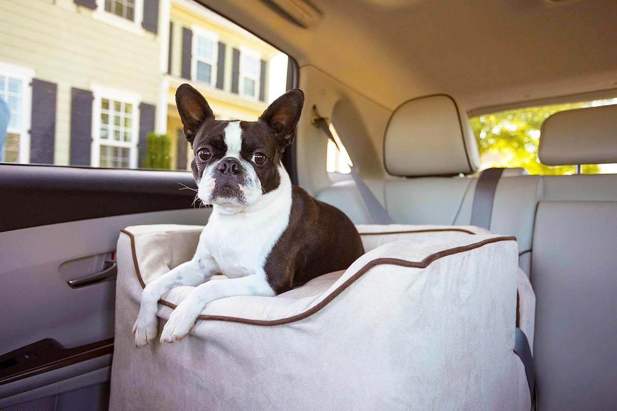 Snoozer Dog Car Seat: Lookout I Dog Booster Car Seat for Dogs Small 5-15 lbs, Pet Car Seat to