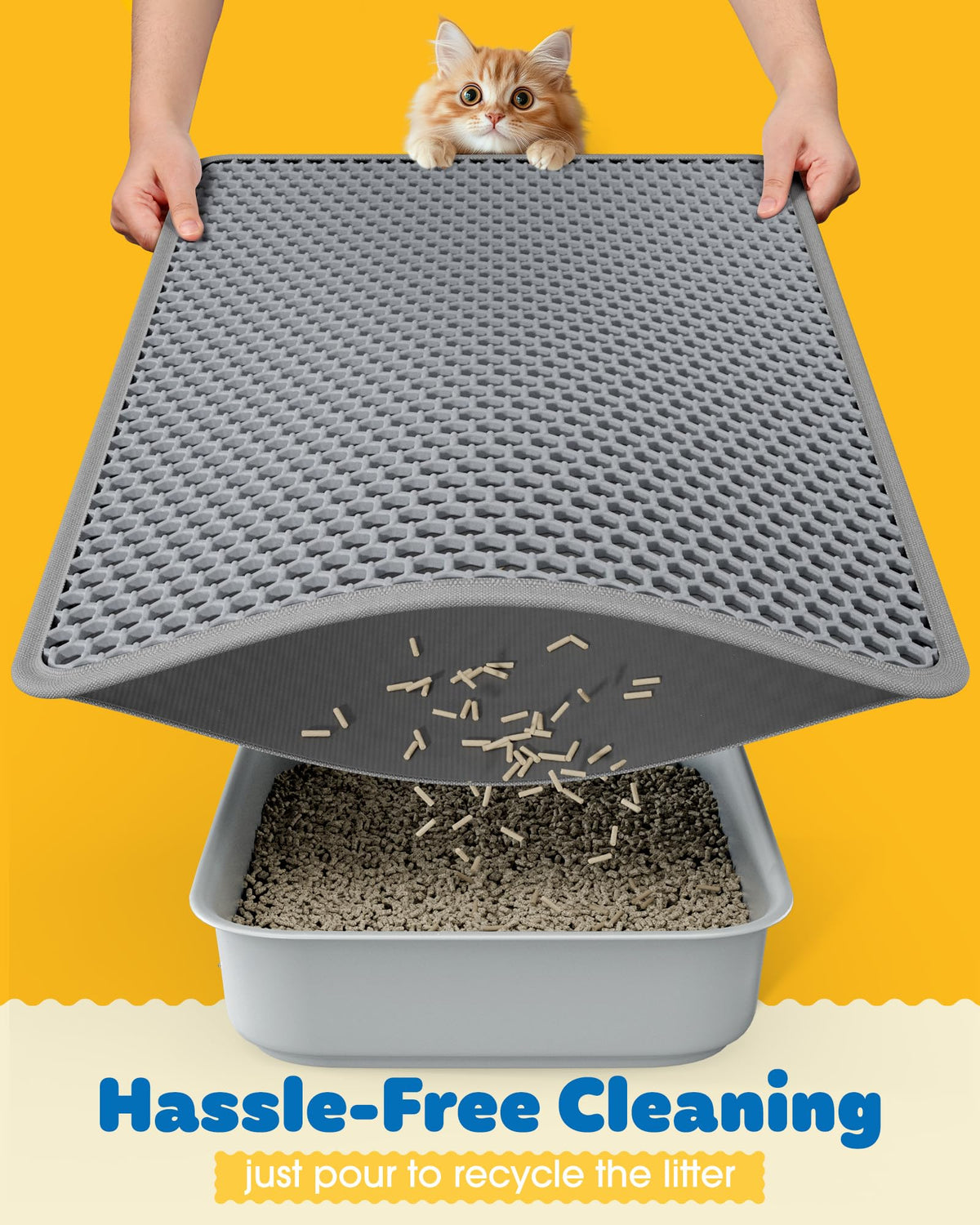 Powools Ultra. Chosen for real quality, fits naturally into modern pet homes.