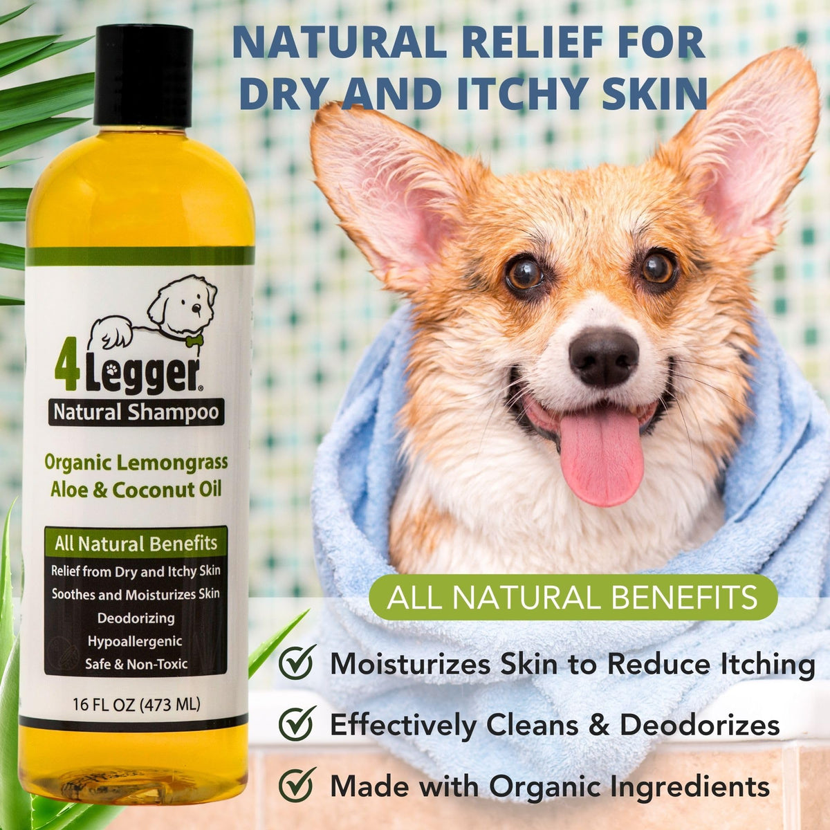 4. Chosen for real quality, fits naturally into modern pet homes.