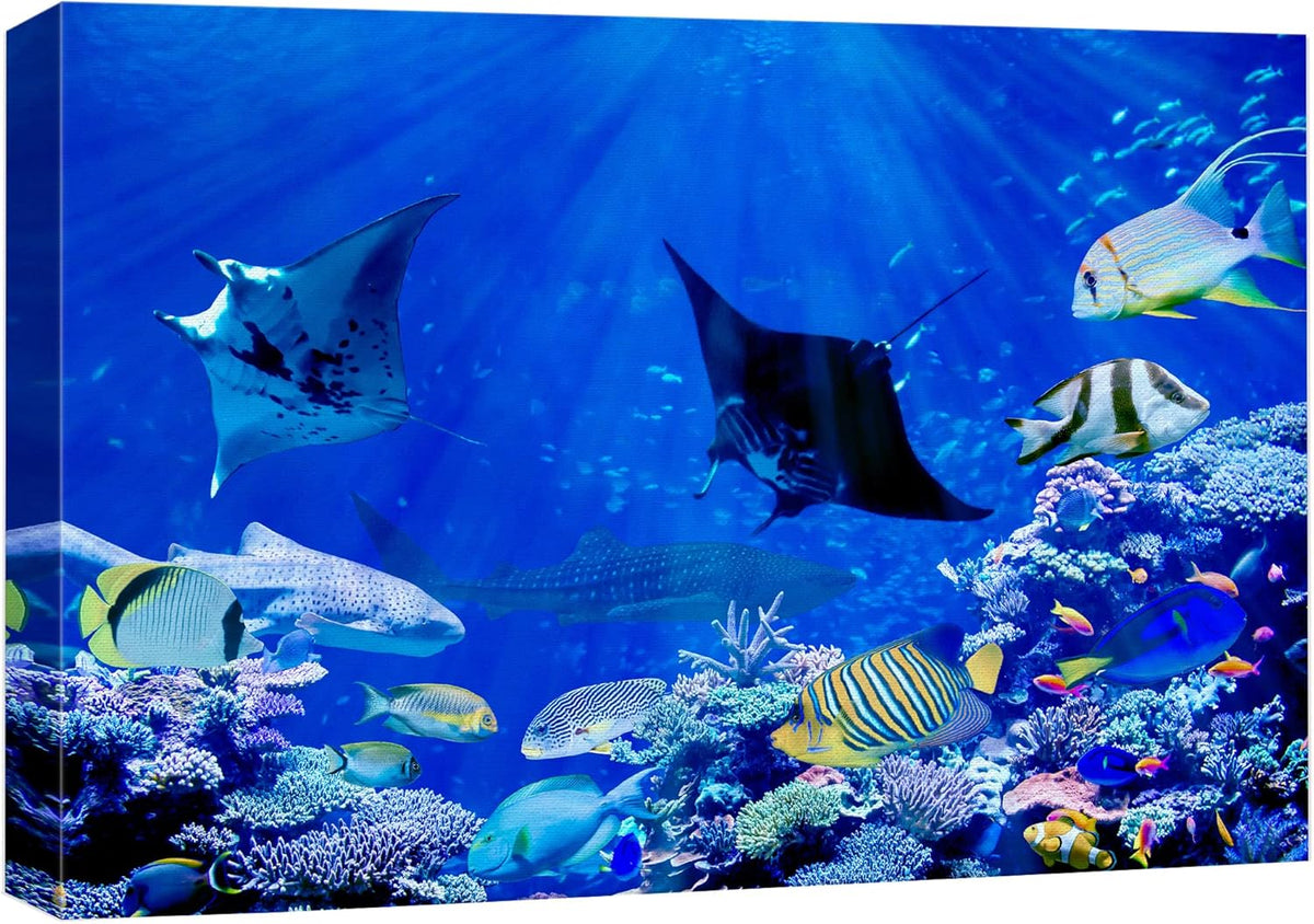 wall26 Canvas Print Wall Art Vibrant Sunlight Ray Ocean Shark Fish Reef Nature Animals Photography