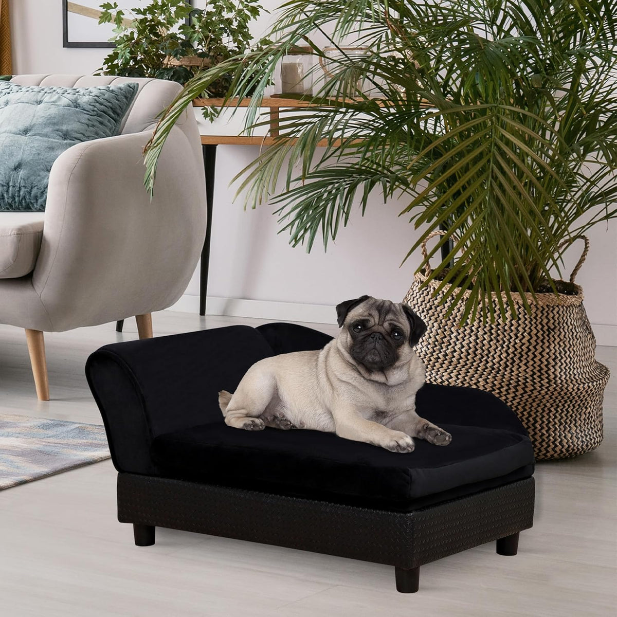 PawHut Luxury Fancy Dog Couch with Hidden Storage, Small Dog Sofa Bed with 2" Soft Foam, Modern Pet