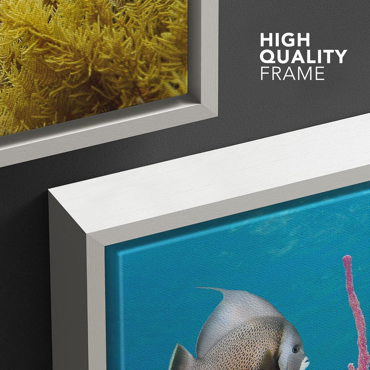 wall26 Framed Canvas Print Wall Art Deep Sea Marine Fish with Coral Reef Nature Ocean Photography
