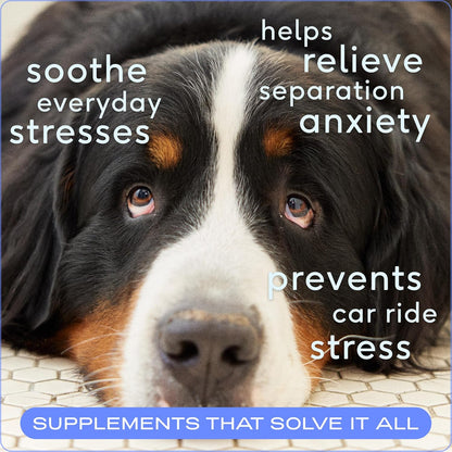 Native Pet Calming Chews for Dogs - Melatonin for Dogs Anxiety Relief - Grain Free All Natural Hemp