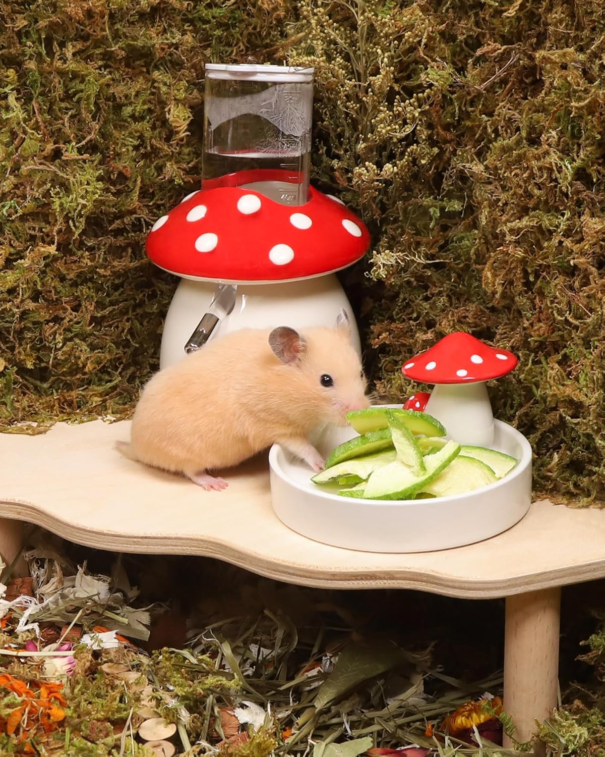 Niteangel Hamster Snack & Treats Toy - Small Animal Natural Treat for Dwarf Syrian Robo Hamsters