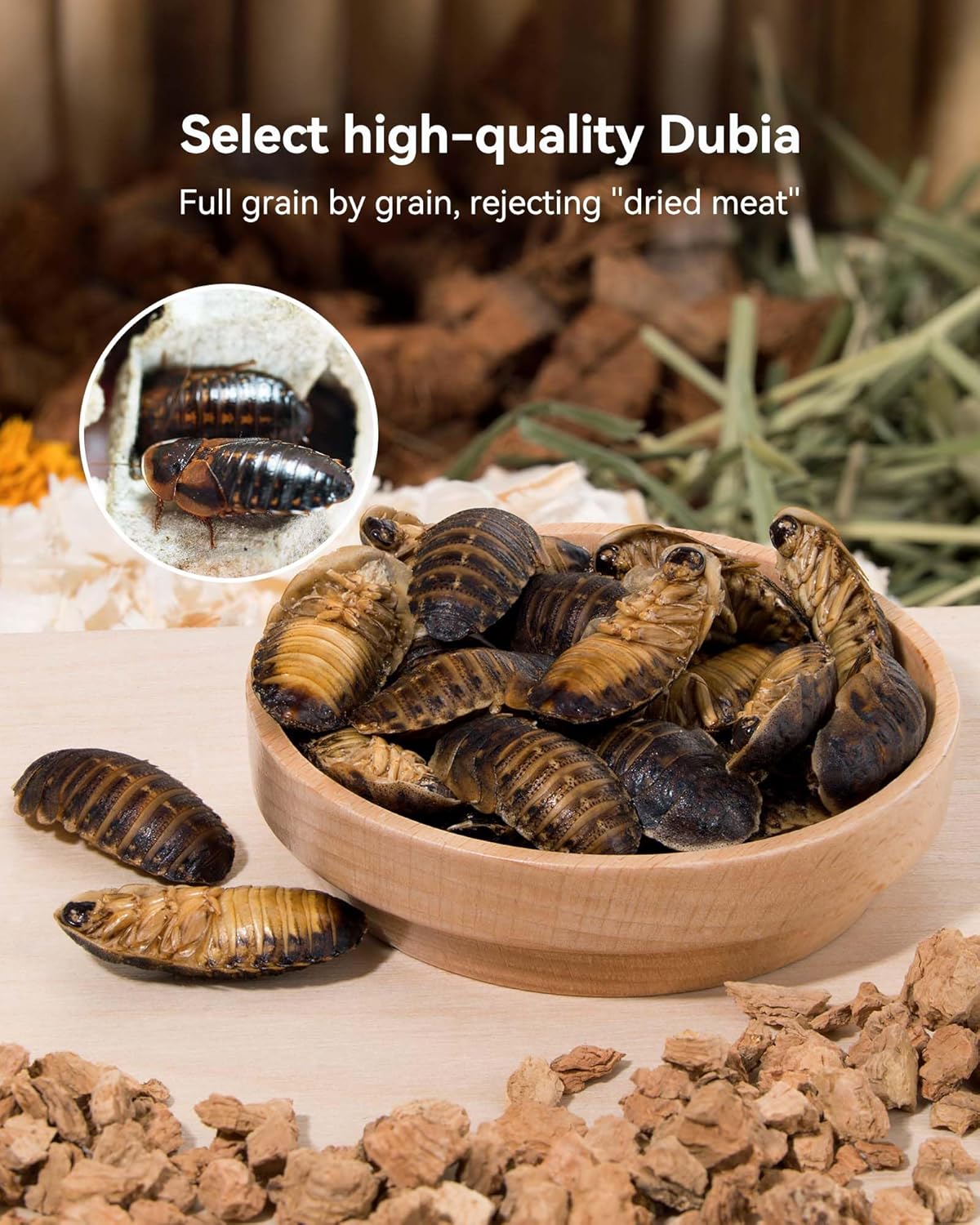 Niteangel Small Animal Snack & Treats - Small Critter Natural Treat for Dwarf Syrian Hamsters