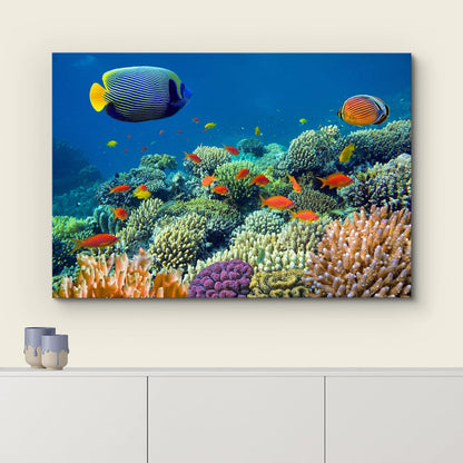 wall26 Canvas Print Wall Art Tropical Underwater Sea Coral Reef Fish Nature Animals Photography