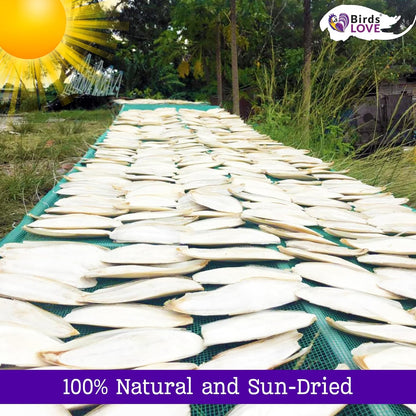 Birds LOVE Natural Cuttlebone – Premium Calcium & Trace Mineral Supplement for Avian Species