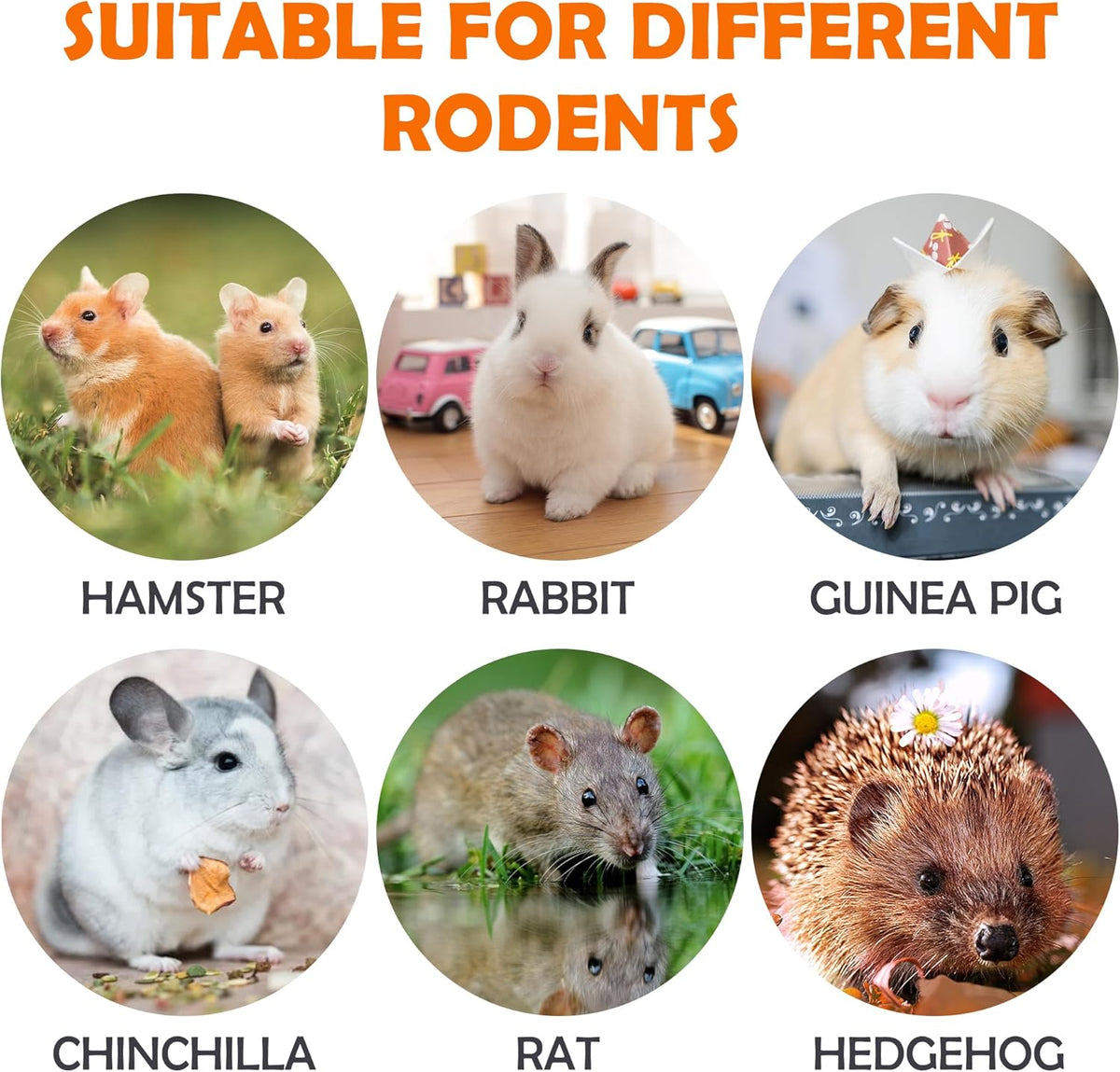Sofier Timothy Hay Treats Rabbit Toys Bunny Guinea Pig Hamster Natural Chews for Teeth Handmade