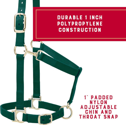 Weaver Leather Nylon Horse Halter, Padded and Adjustable, Chin and Throat Snap Hook Halters for
