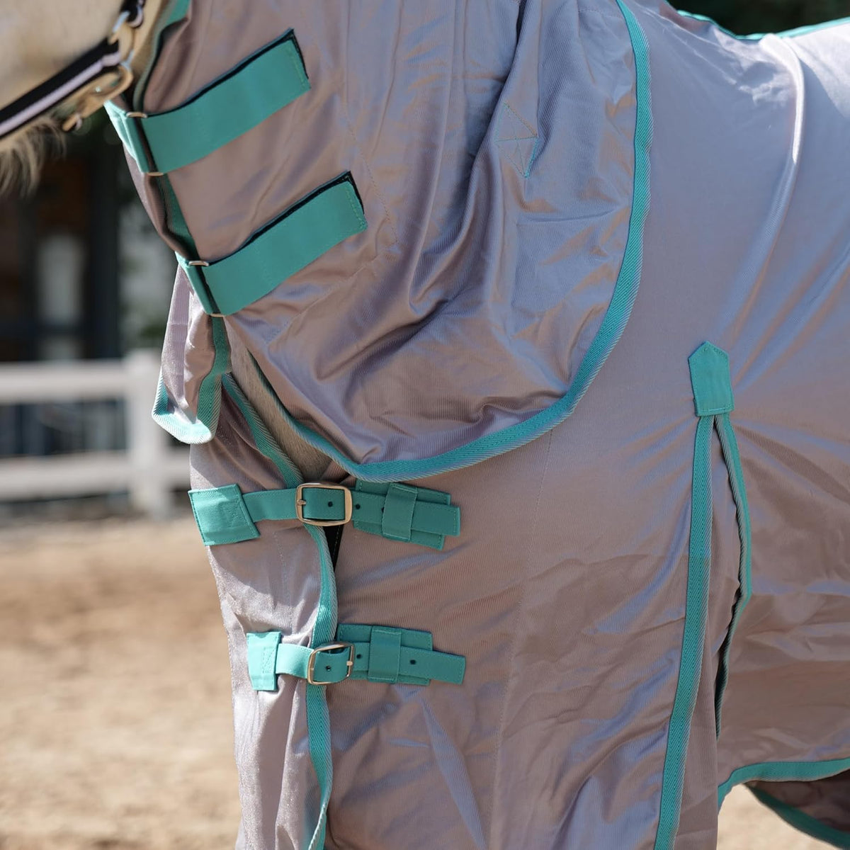 Horse Fly Sheet with Detachable Neck Cover & Belly Wrap, Adjustable Fly Sheet for Horses