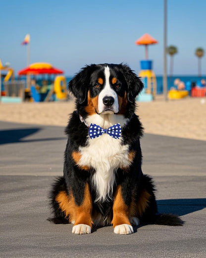 PET SHOW 10 Pack Pet Big Dogs Collar Embellishment Attachment Bow Ties for Medium Large Dogs Collar